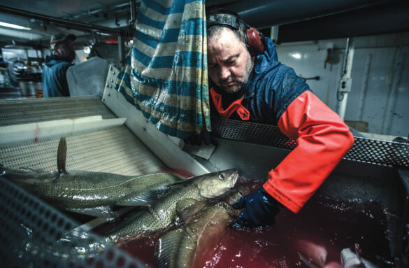 Icelandic Fisherman at sea