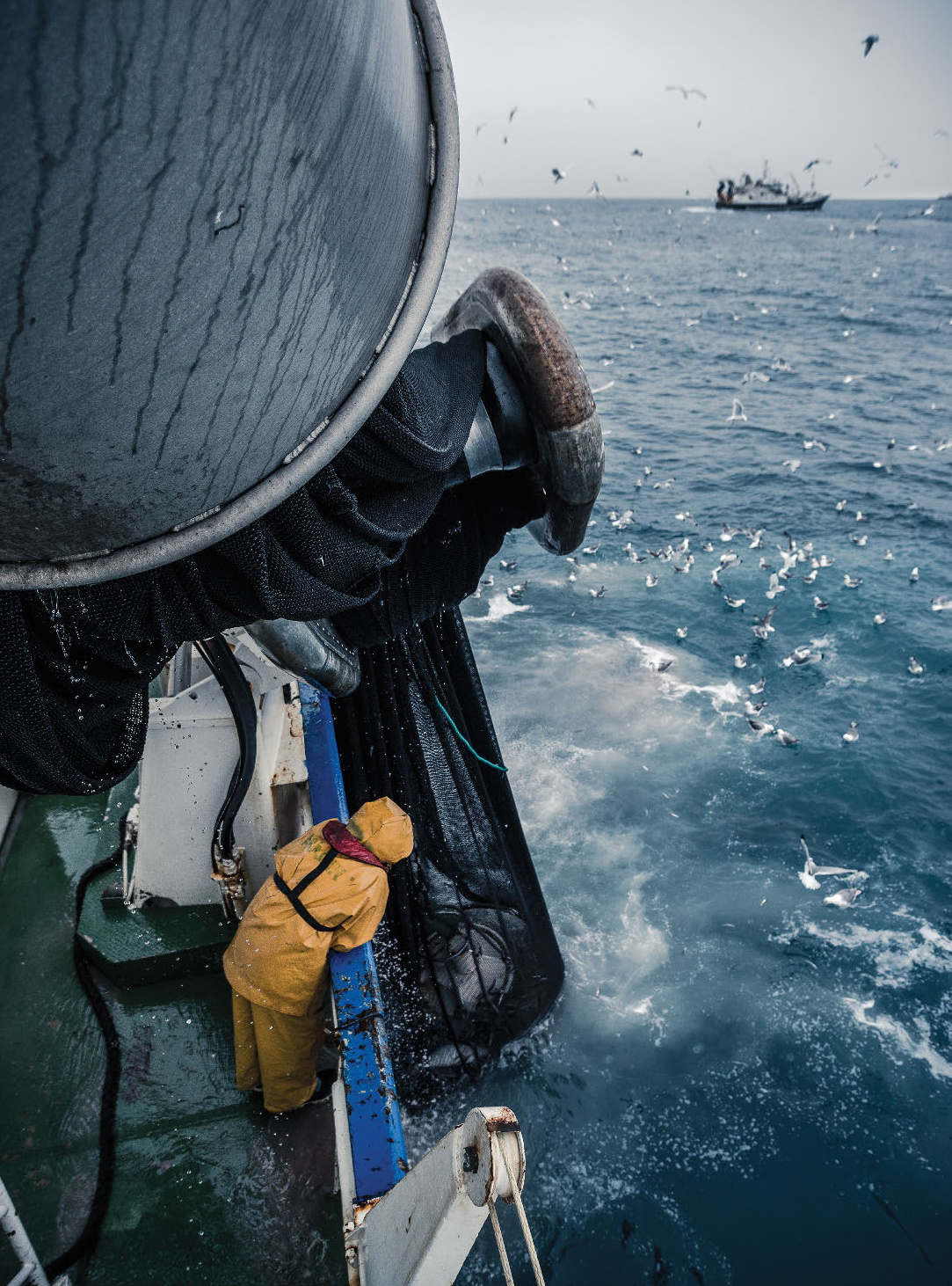 Icelandic Fisherman at sea