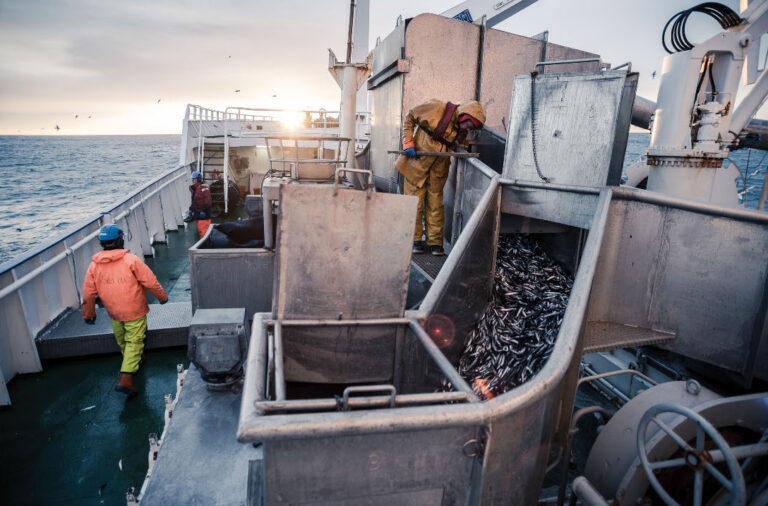 Icelandic Fisherman at sea