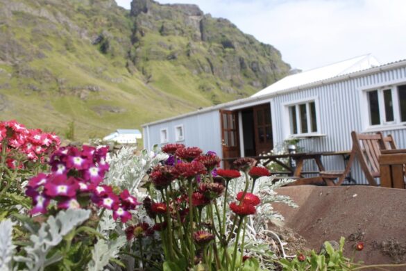Gamla Fjósið