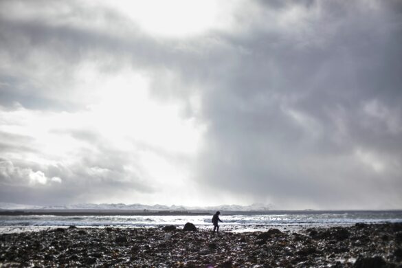 The ocean's superfood